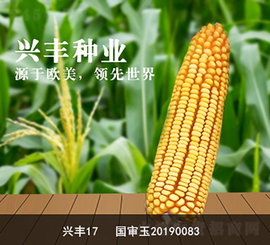 �d�S17-�d�S�N�I(y��)