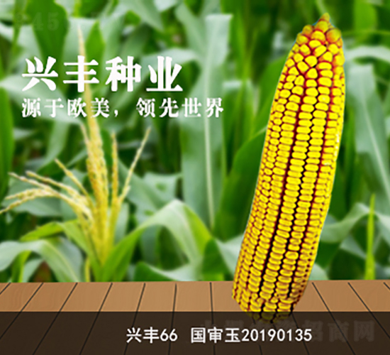 �d�S66-�d�S�N�I(y��)