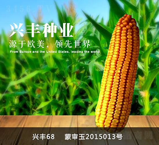 �d�S68-�d�S�N�I(y��)