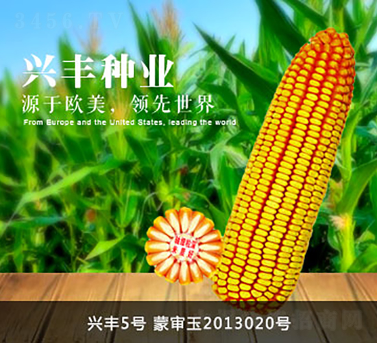 �d�S5̖-�d�S�N�I(y��)