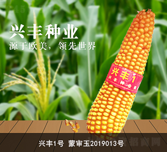 �d�S1̖-�d�S�N�I(y��)