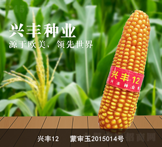 �d�S12-���׷N��-�d�S�N�I(y��)