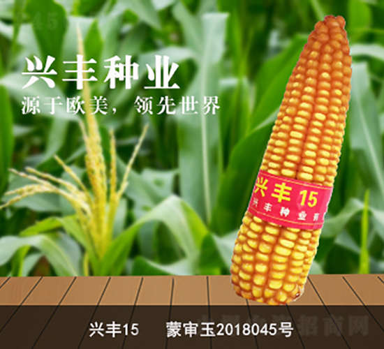 �d�S15-���׷N��-�d�S�N�I(y��)