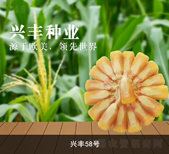 �d�S58̖-���׷N��-�d�S�N�I(y��)