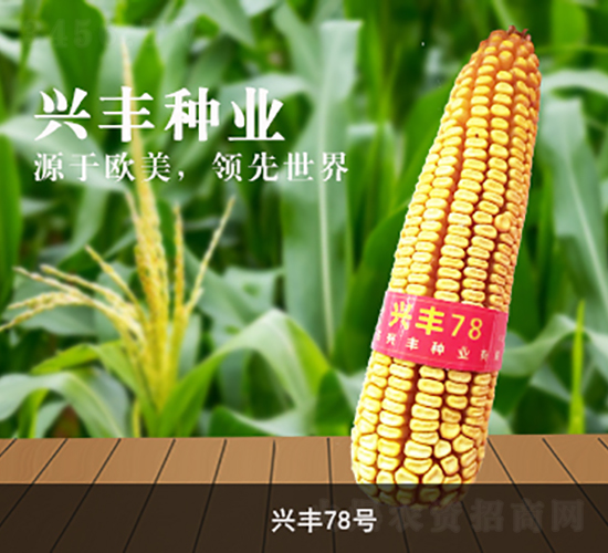 �d�S78̖-���׷N��-�d�S�N�I(y��)