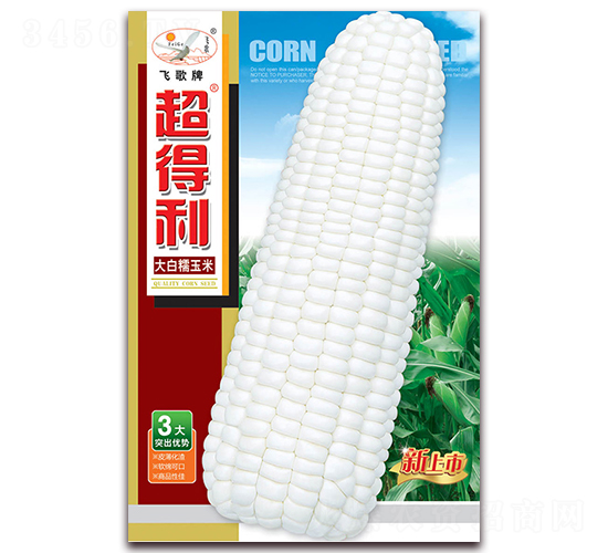 超得利玉米-大白糯玉米種子-飛歌農(nóng)業(yè)