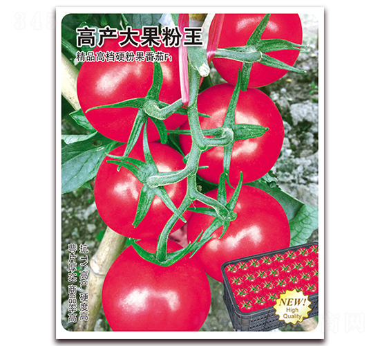 �߮a(ch��n)�������-���ѷN��-�w���r(n��ng)�I(y��)