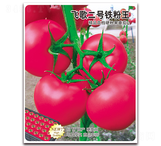 飛歌二號鐵粉王-番茄種子-飛歌農(nóng)業(yè)