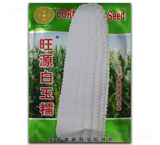 旺源白玉糯-白糯玉米種子-金馬開元
