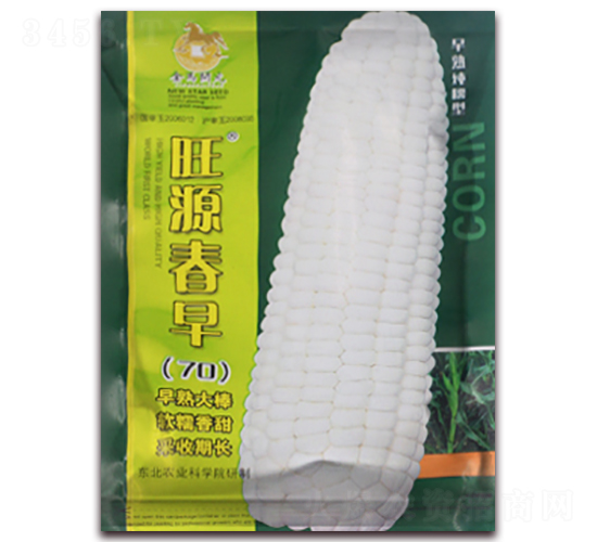 旺源春早70-白糯玉米種子-金馬開元