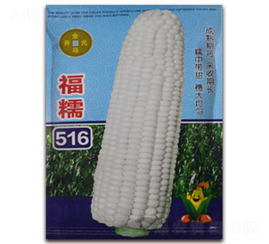 福糯516-白糯玉米種子-金馬開元