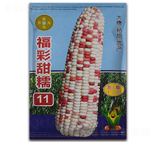 福彩甜糯11-玉米種子-金馬開元