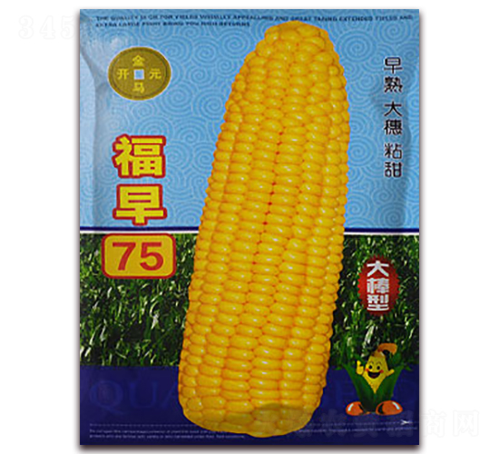 ����75-���׷N��-���R�_Ԫ