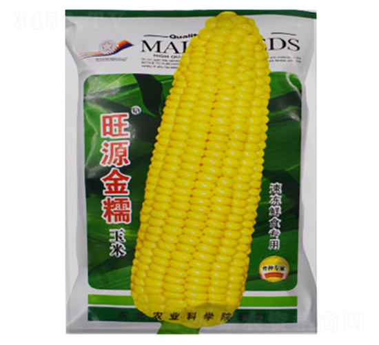 旺源金糯-玉米種子-金馬開元
