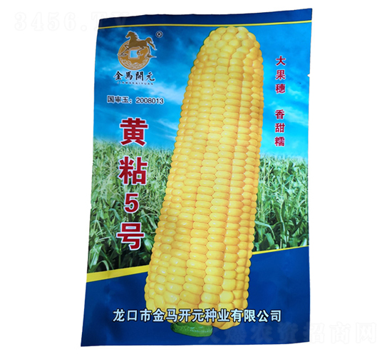 黃粘5號-玉米種子-金馬開元