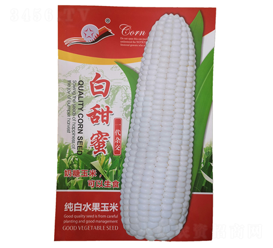 白甜蜜-玉米種子-金馬開元