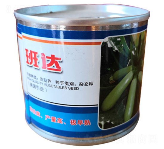 ���_(d��)-�����J�N��-���R�_Ԫ