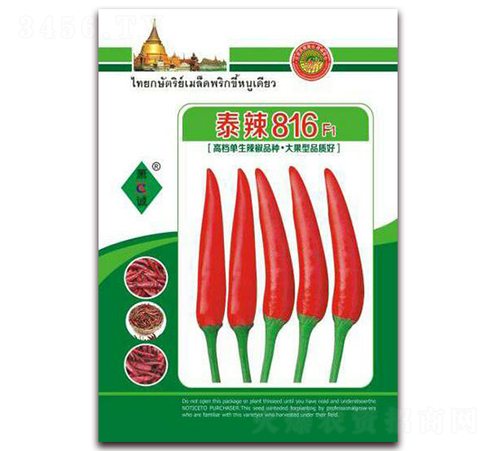 ̩��816-���콷�N��-ʒ�\