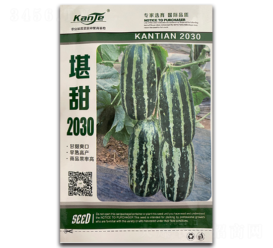 堪甜2030-甜瓜種子-凌廣農業(yè)