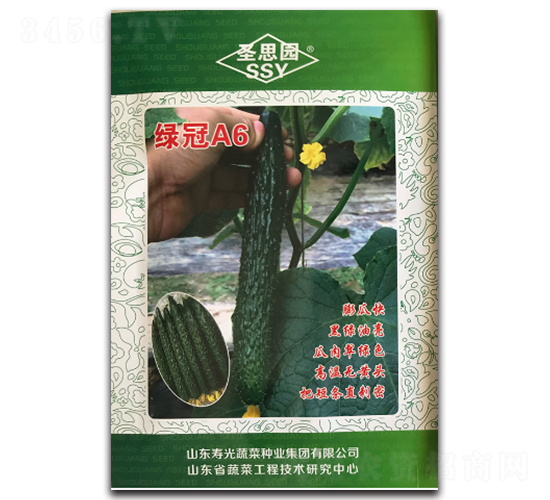 綠冠A6-黃瓜種子-凌廣農(nóng)業(yè)