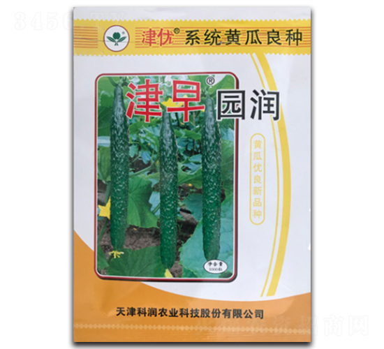 津早圓潤-黃瓜種子-凌廣農(nóng)業(yè)