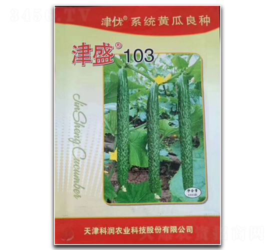 津盛103-黃瓜種子-凌廣農(nóng)業(yè)