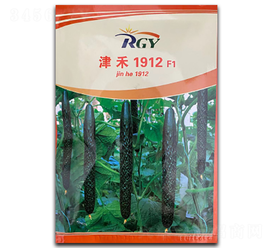 津禾1912-黃瓜種子-凌廣農業(yè)