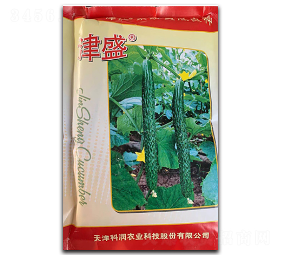 津盛寒豐58-黃瓜種子-凌廣農(nóng)業(yè)