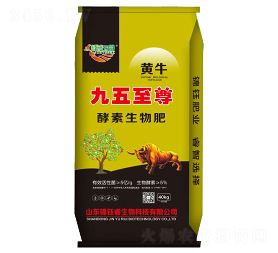 ����������������-�\��