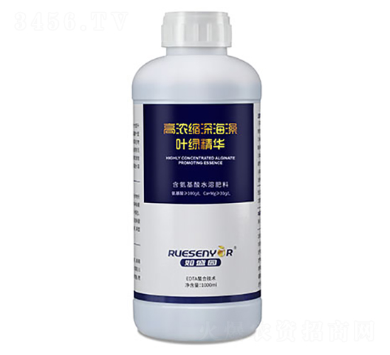 �ߝ�s����~�G���A-����������