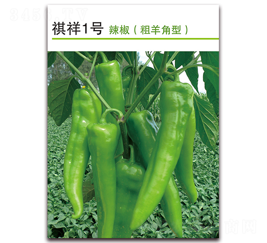 ����1̖(h��o)-�����N��-������