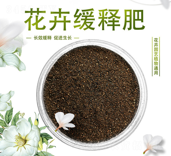 ���ܾ�ጷ�-������