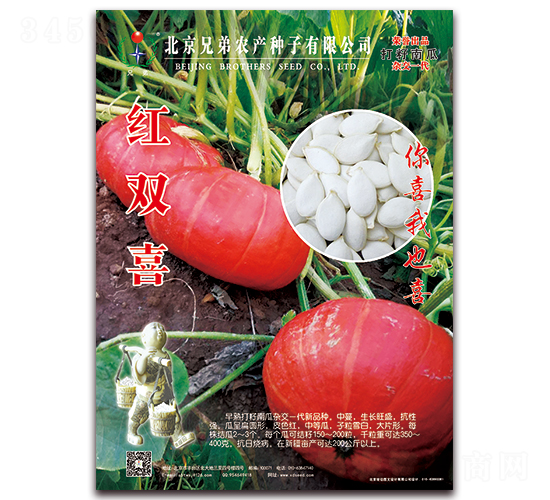 �t�pϲ-�ϹϷN��-�ֵ�