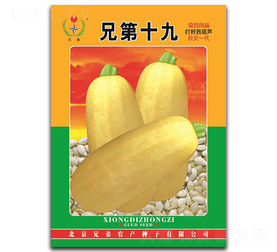 �ֵ�ʮ��-���������J�N��-�ֵ�