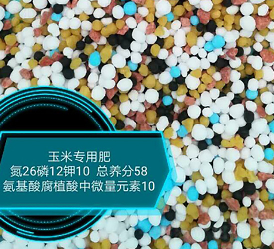 ���׌��ð����ḯֲ����΢��Ԫ��26-12-10-���r(n��ng)�r(n��ng)�I(y��)