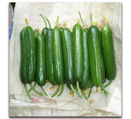 �M��700�S��-�S�ϷN��-�M��N��