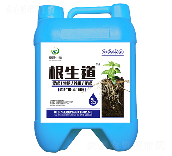 ΢�������-������-̩������