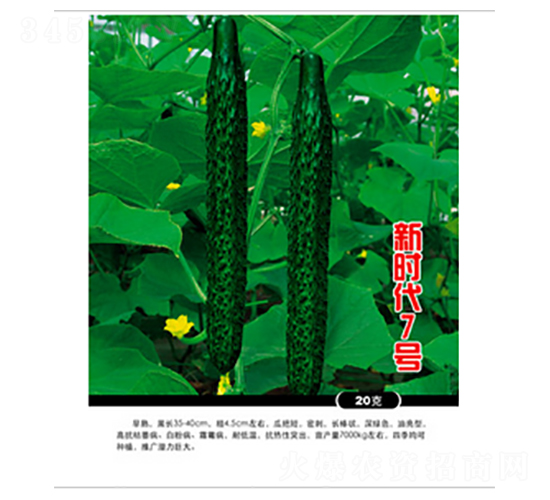 �r��7̖-�S�ϷN��-�r���f