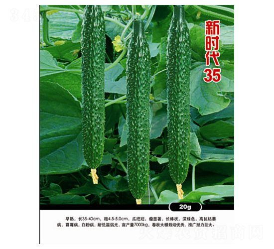 �r(sh��)��35-�S�ϷN��-�r(n��ng)���f(w��n)