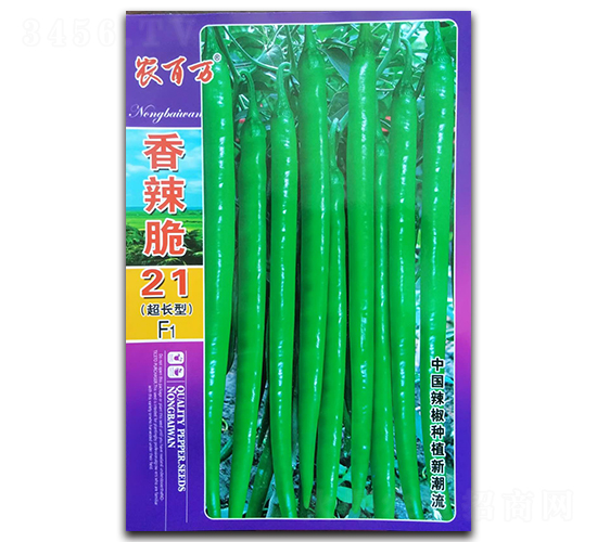 ������21̖-�����N��-�r(n��ng)���f