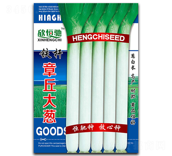 鐵桿章丘大蔥-大蔥種子-恒馳種業(yè)