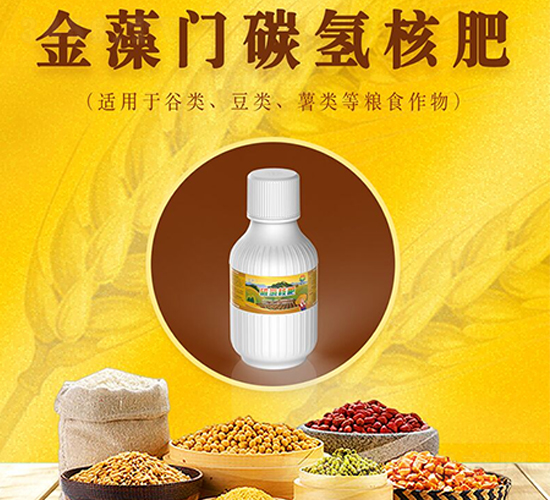 金藻門碳?xì)浜朔?煦豐