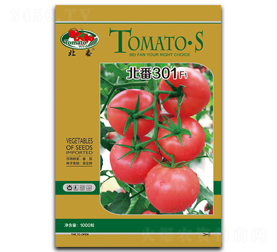 北番301-番茄種子-華豐種業(yè)