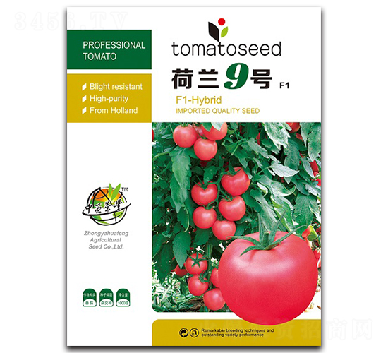 荷蘭9號-番茄種子-華豐種業(yè)