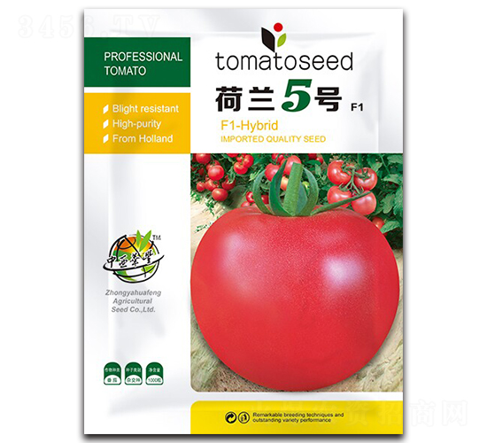 荷蘭5號-番茄種子-華豐種業(yè)
