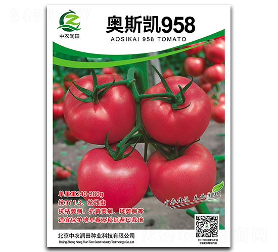 �W˹�P958-���ѷN��-���r(n��ng)����