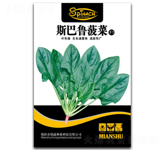 斯巴魯菠菜-菠菜種子-綿蔬種業(yè)