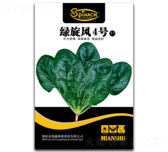 綠旋風(fēng)4號(hào)-菠菜種子-綿蔬種業(yè)