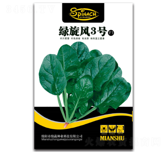 綠旋風(fēng)3號(hào)-菠菜種子-綿蔬種業(yè)