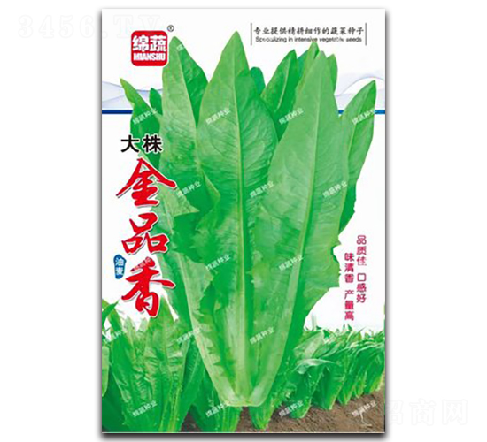 大株金品香油麥-油麥菜種子-綿蔬種業(yè)